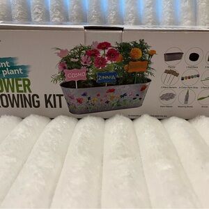 Colorful Flower Growing Kit